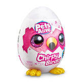 Pets Alive Cıvıl Cıvıl Kuş